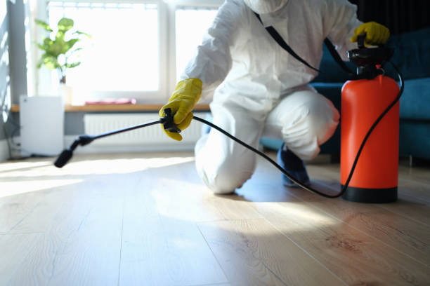 Reliable Odor Removal contractor in Conway, WA by Trauma Clean Pros